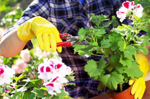 Front view of a gardener working in an Ealing residential garden with tools and plants