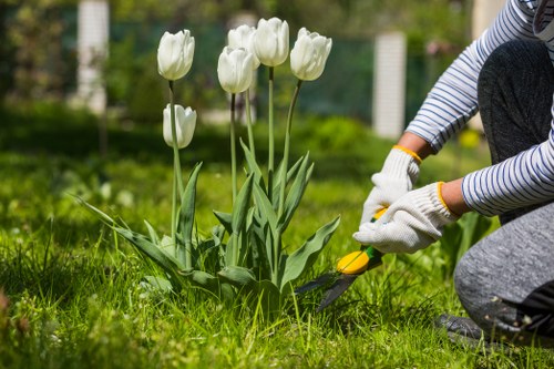 Credit card and online payment symbols for Ealing gardener payments
