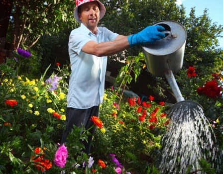 Professional lawn mowing service in Ealing