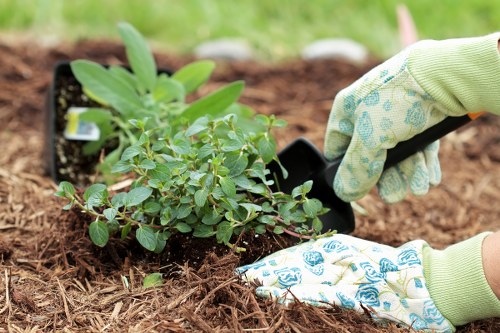 Sustainable garden with rainwater harvesting and solar lighting
