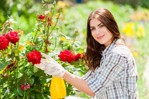 Seasonal lawn care in Ealing