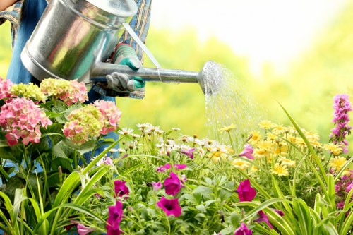 Garden waste being recycled by garden clearance professionals in Ealing