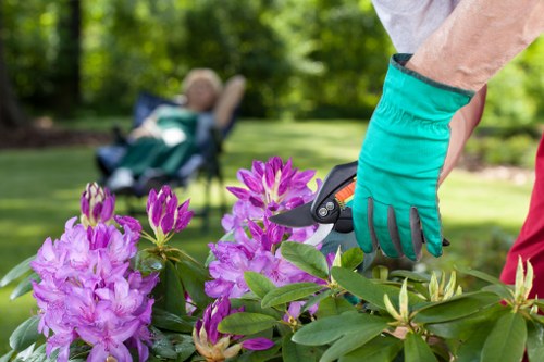 Lush green lawn with garden tools in Ealing home backyard