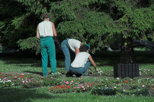 Professional gardener from Gardener Ealing trimming shrubs