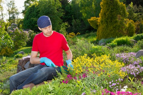 Maintained clean garden after professional clearance in Ealing