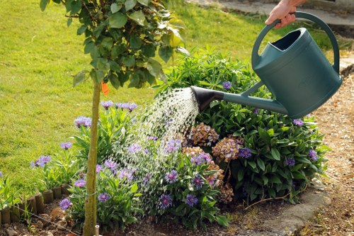 Gardener Ealing designing a landscape