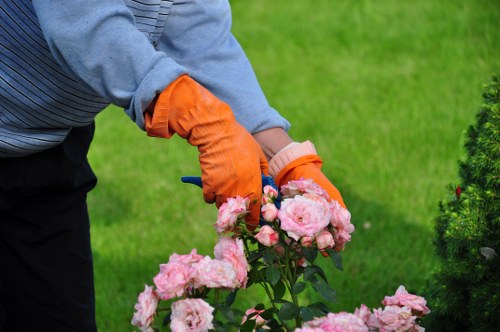 Expert pruning and trimming during garden clearance in Ealing