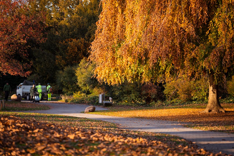 A park scene during autumn with a large mature tree that has vibrant orange and yellow leaves, some of which have fallen to form a leaf-covered ground. A paved pathway winds through the park, bordered