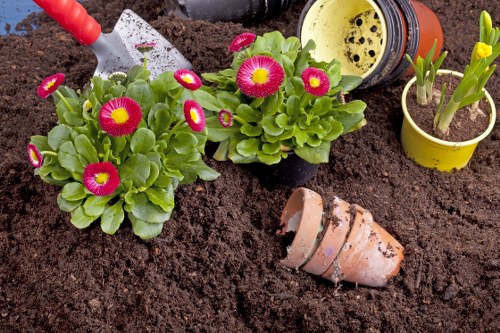 Professional gardener in Ealing tending to a vibrant garden